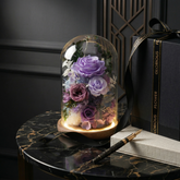 星韻永恆 · 大型 LED 玻璃罩永生花|26.5cm 實木底座 (附電池/精裝禮盒/高磅數禮物袋)