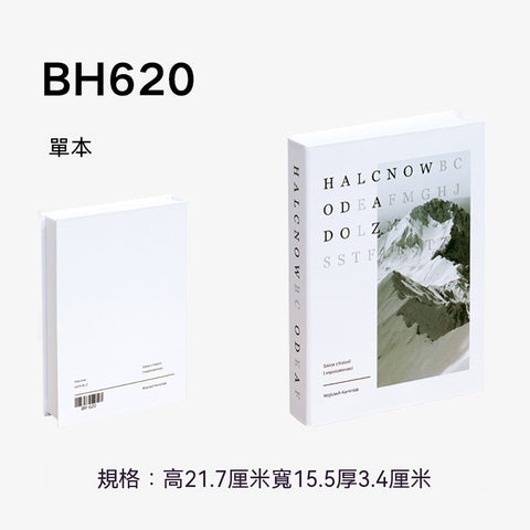 歐美藝文風格仿真書｜室內設計裝飾書擺案系列